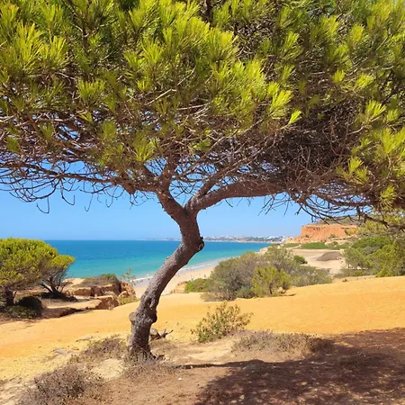 Villa Viriato Villa Albufeira