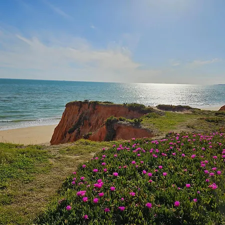 Villa Viriato * Albufeira